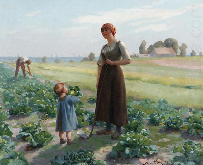 Aime Perret The lettuce patch china oil painting image